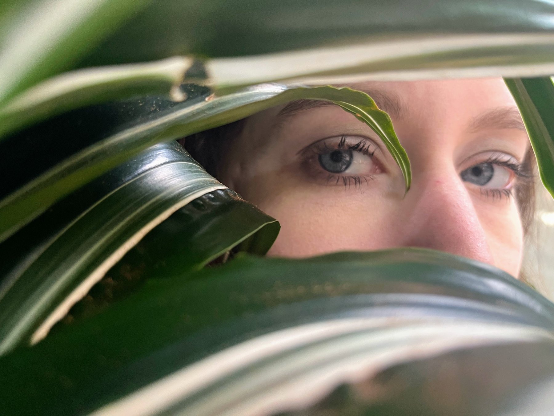 Eyes and face partially framed by green leaves